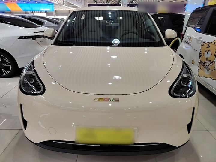 Xingyuan 2025 310km photo 2