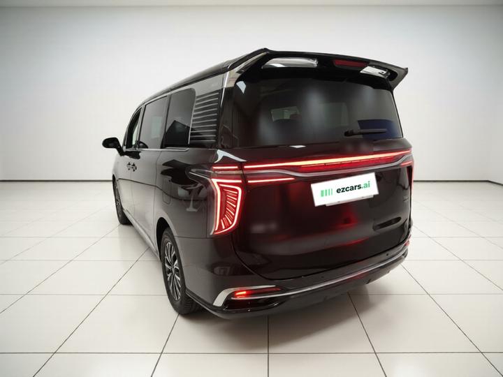 HQ9 PHEV 2024 2.0T AWD Business photo 4
