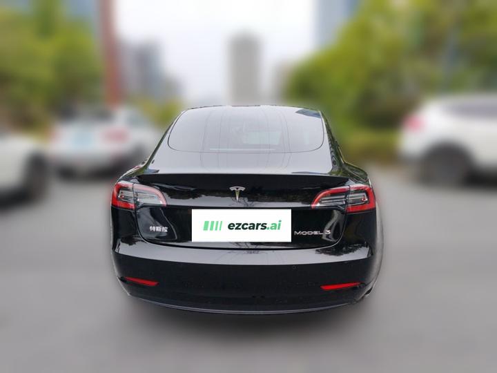 Model 3 2021 Facelift Standard Range RWD Upgraded 3D1 photo 5