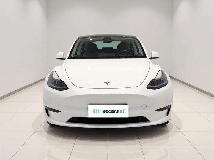 Model Y 2024 RWD photo 2