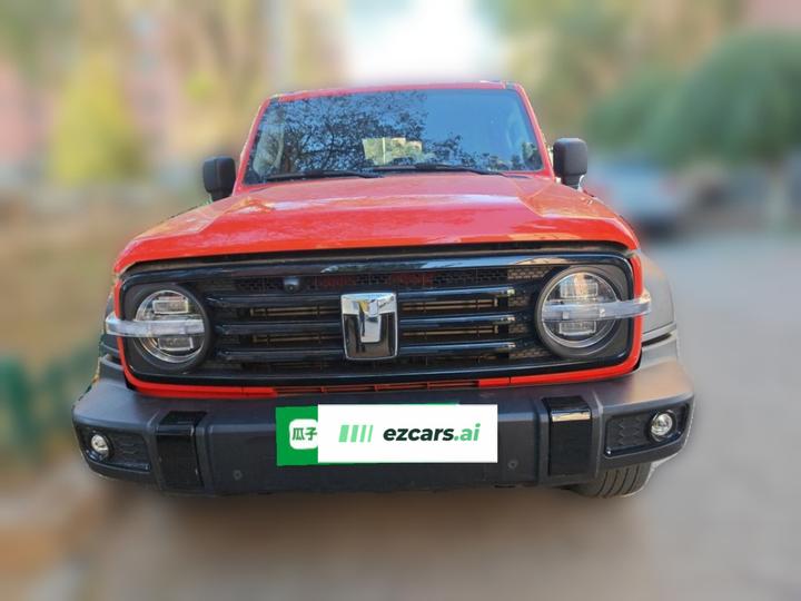 300 2024 2.0T Conqueror photo 2