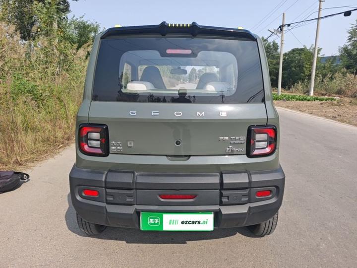 2025 210km Panda photo 3