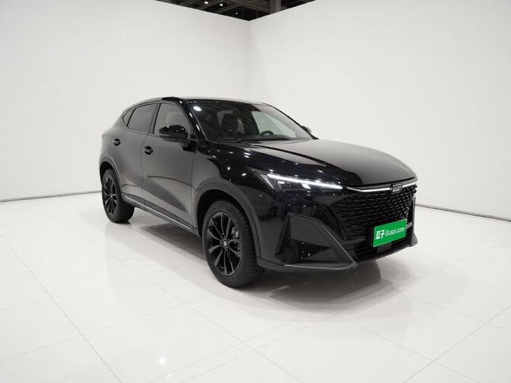 X5 PLUS 2023 1.5T DCT Pioneer photo 3