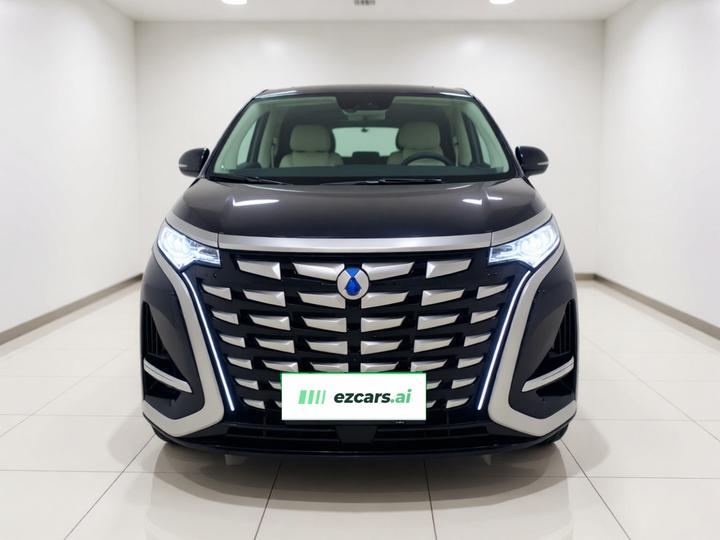 D9 2024 DM-i 980 AWD Noble photo 2