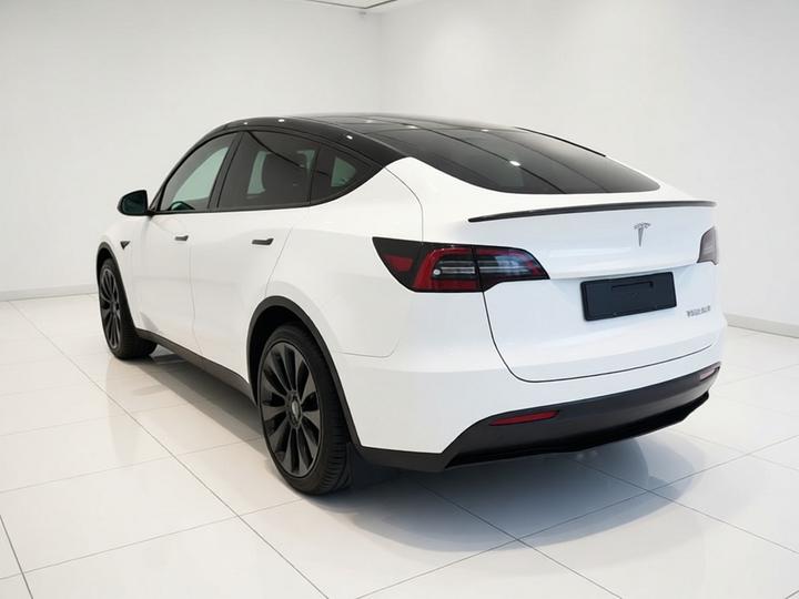 Model Y 2022 Performance AWD photo 4
