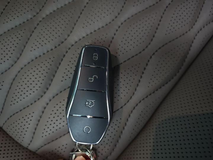 Han 2025 EV 506KM Premium photo 8
