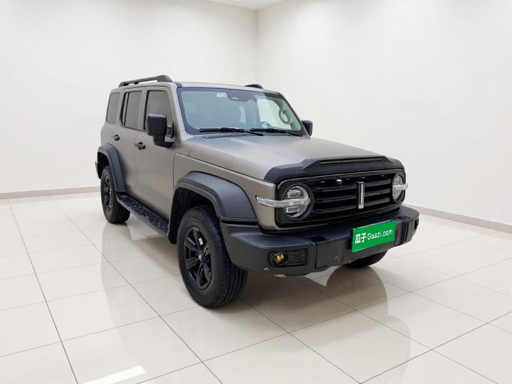 300 2021 Off-road 2.0T Conqueror photo 3