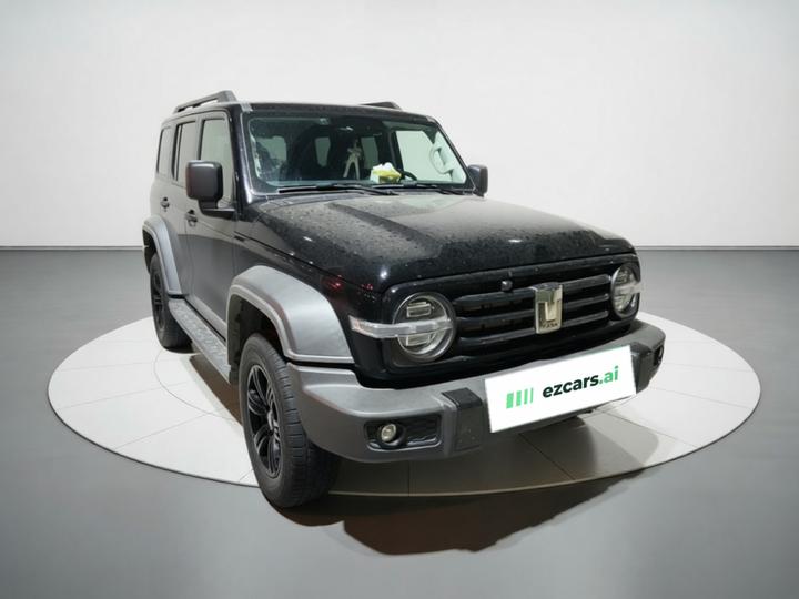 300 2021 Off-road 2.0T Conqueror photo 3