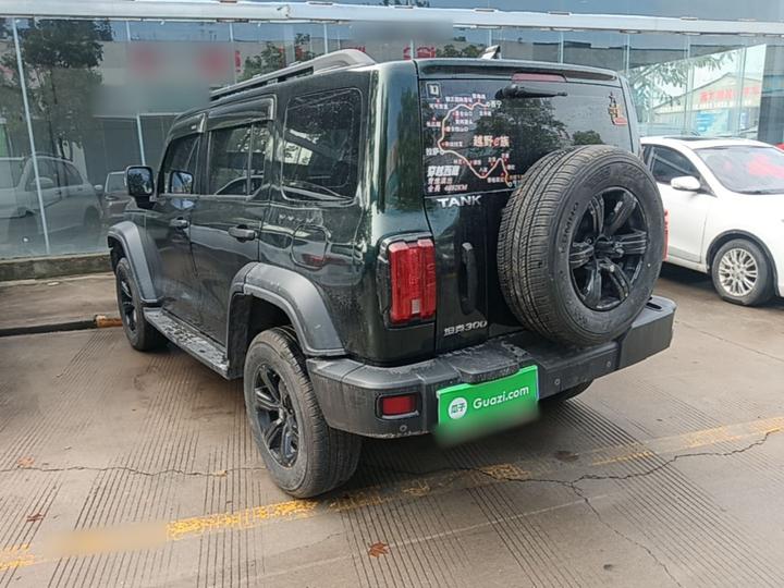 300 2021 Off-road 2.0T Conqueror photo 4