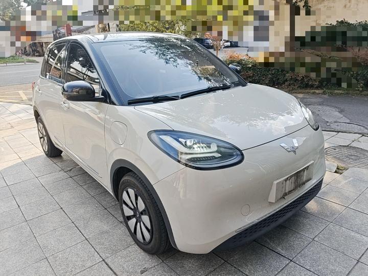 Wuling Bingo 2023 410km Exclusive photo 3