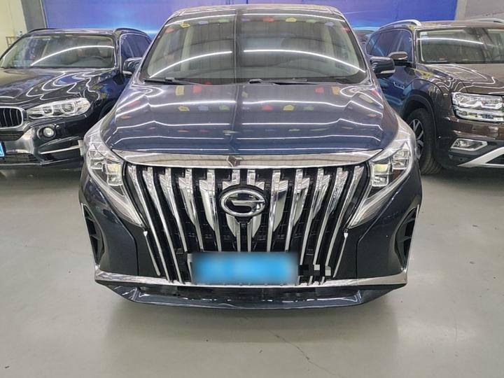GAC Trumpchi M8 2020 Pilot 390T Exclusive photo 2