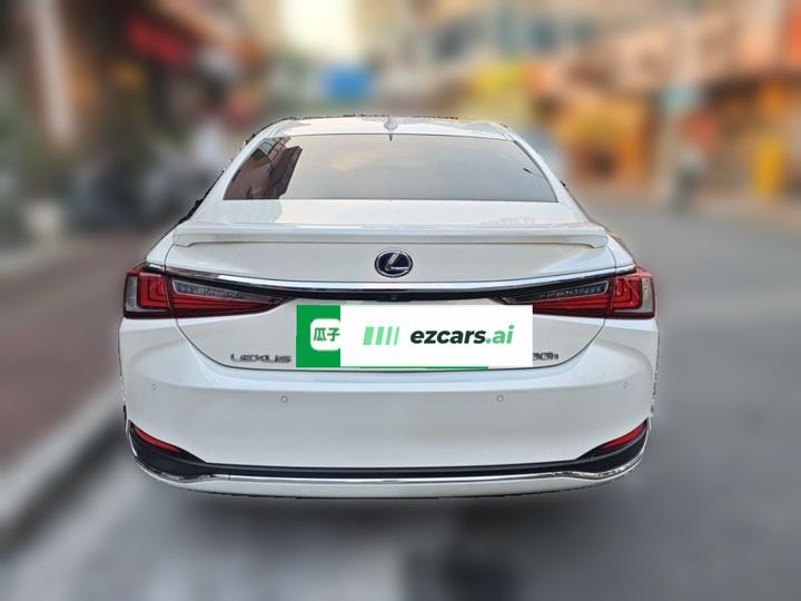 ES 2018 300h Excellence China V photo 5