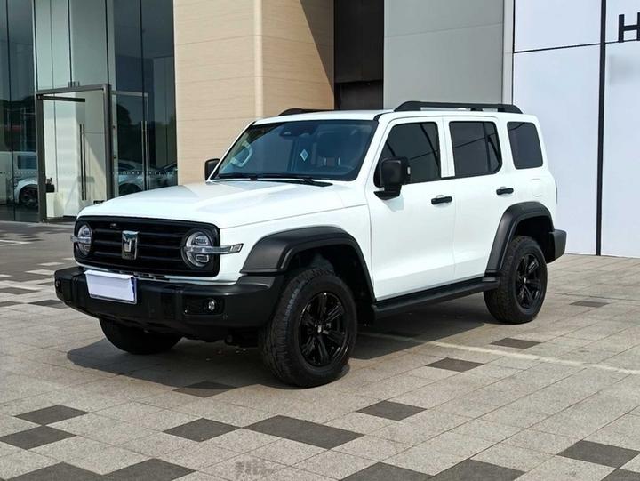 300 2023 Off-road 2.0T Conqueror