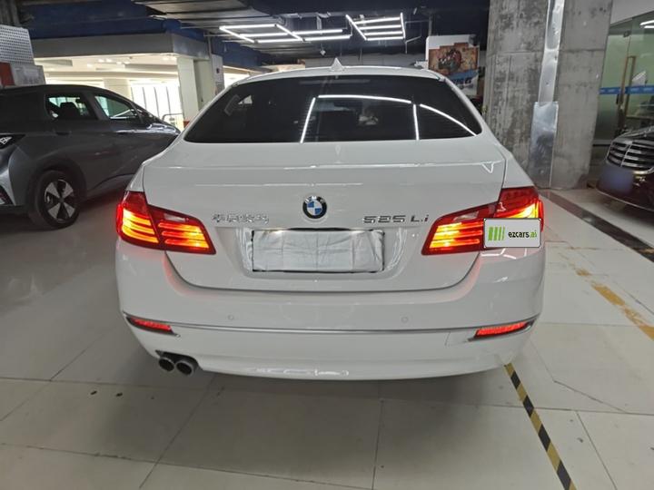 5 Series 2014 525Li Design Package photo 5