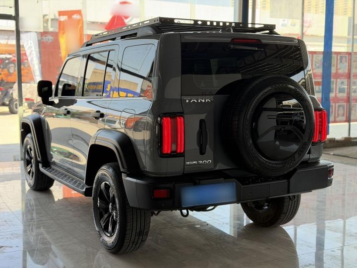 300 2021 Off-road 2.0T Explorer photo 4