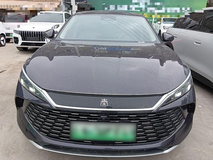 Qin L 2024 DM-i 120KM Excellence photo 2