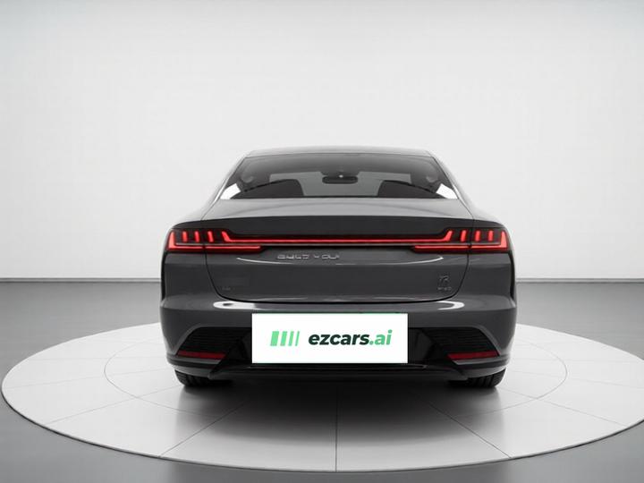 Han 2020 EV AWD Performance Flagship photo 5