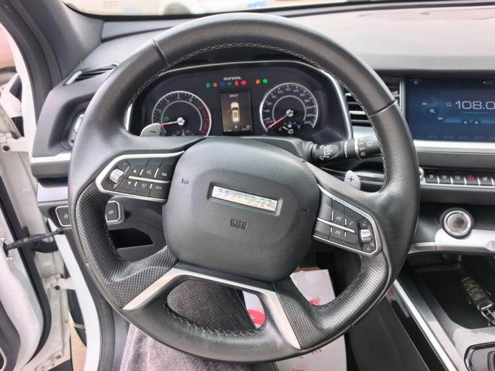 H6 2018 Blue Label 1.5T AT Luxury photo 6