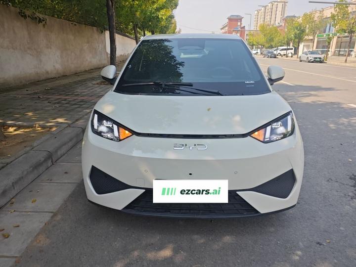 Seagull 2025 ADAS 305km photo 2