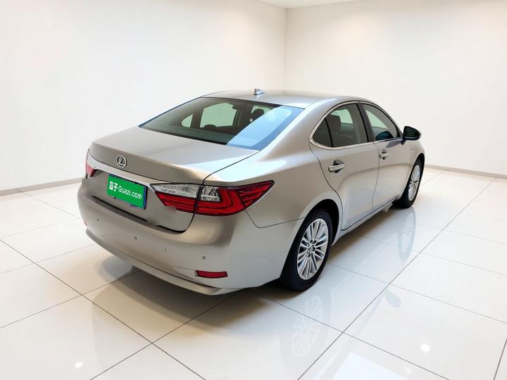 ES 2015 250 Elegant photo 6