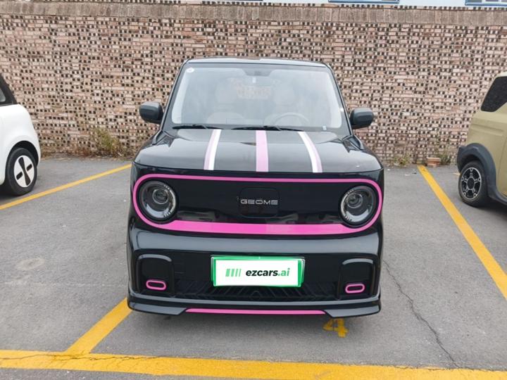 2025 210km Panda photo 2