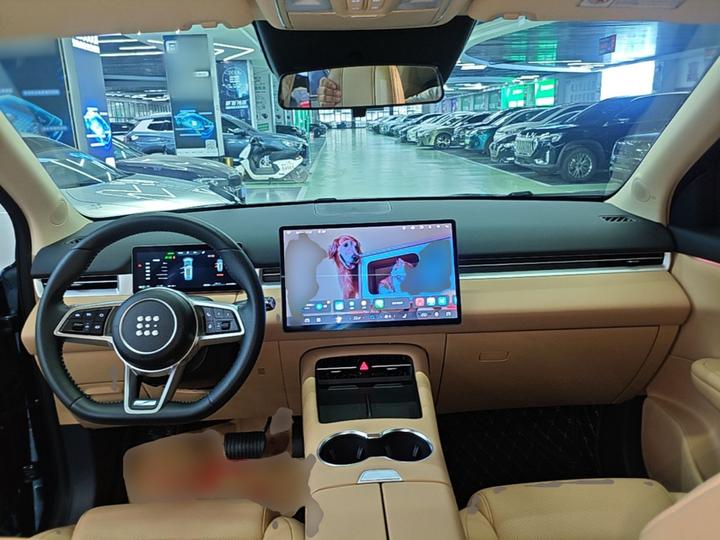 Bluelectric E5 PLUS 2025 165km Long Range PLUS 5-Seater photo 5