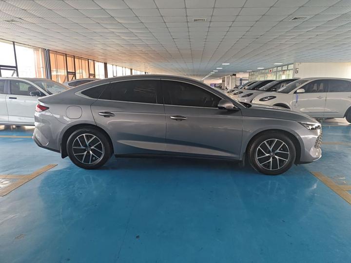 Qin L 2024 DM-i 80KM photo 3