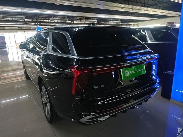 E-HS9 2021 460km 6-Seater photo 4