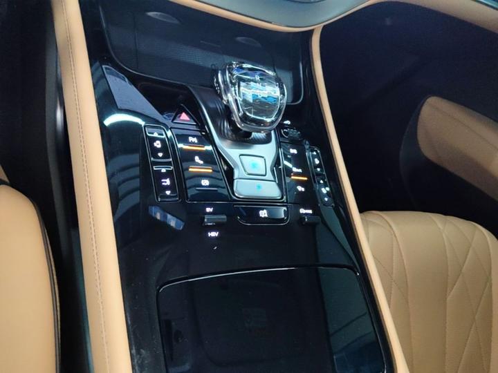 D9 2024 DM-i 980 AWD Noble photo 8