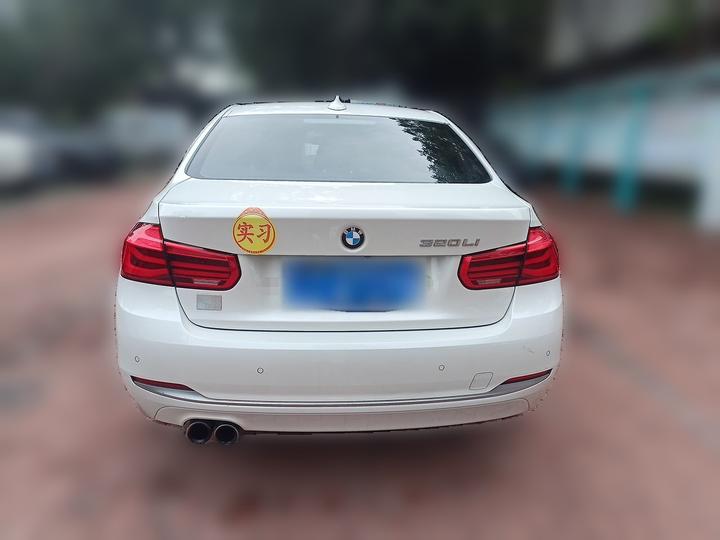 3 Series 2019 320Li Fashion photo 5