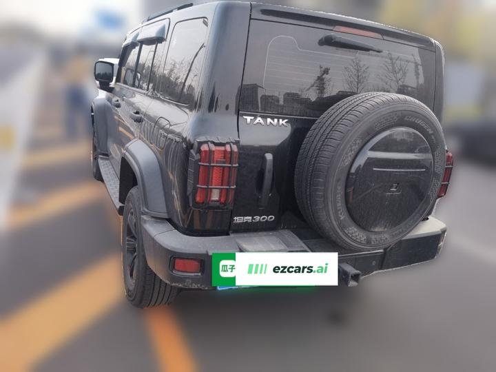 300 2023 Off-road 2.0T Conqueror photo 4