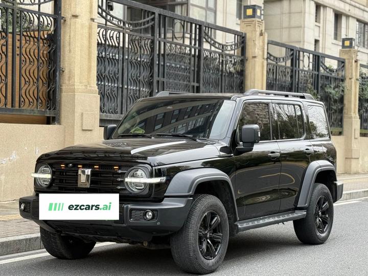 300 2021 Off-road 2.0T Conqueror photo 2