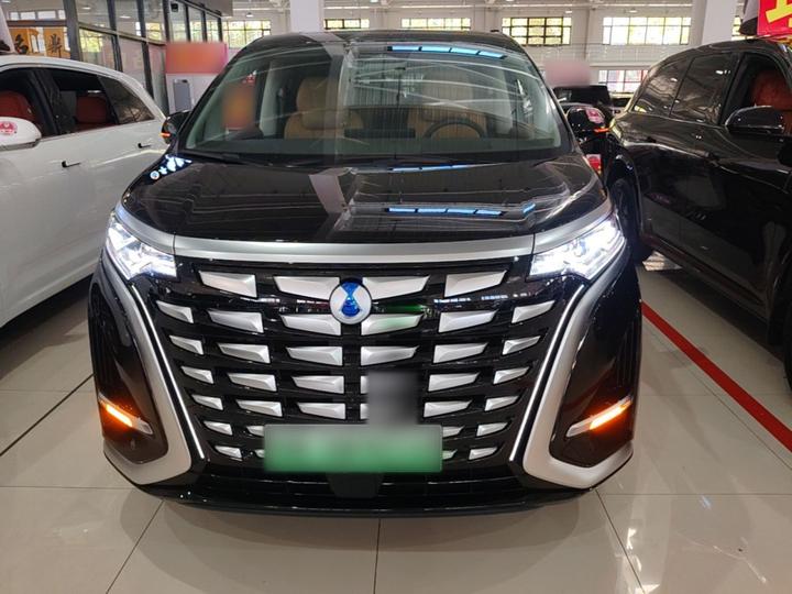 D9 2022 DM-i 970 AWD Noble photo 2