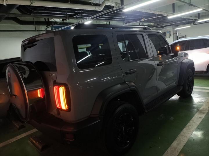 300 2021 Off-road 2.0T photo 6