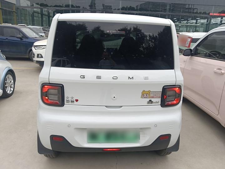 2024 Panda mini 200km Endurance Bear photo 3