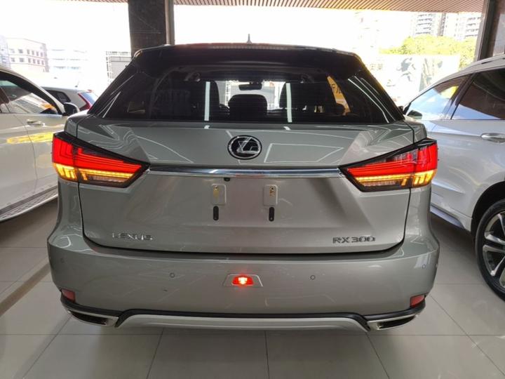 RX 2020 300 RWD Elite China VI photo 3