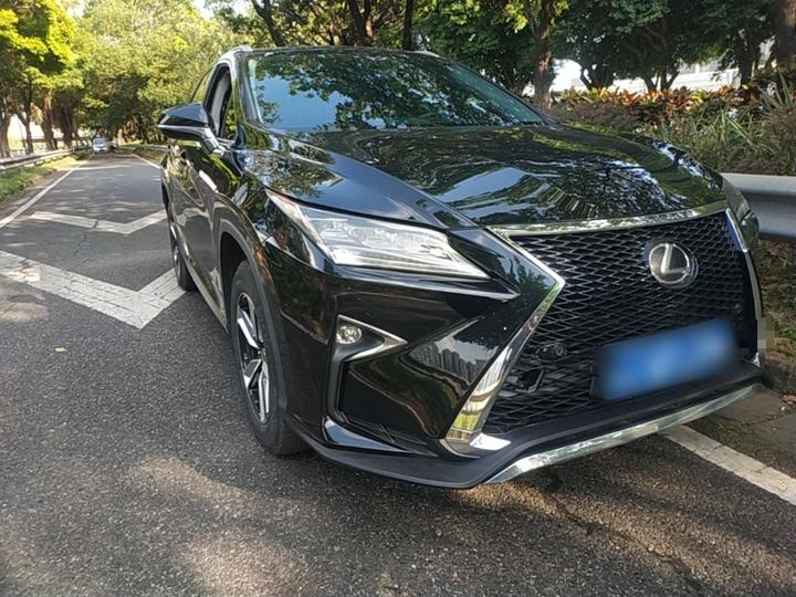 RX 2016 300 RWD Comfort China V photo 3
