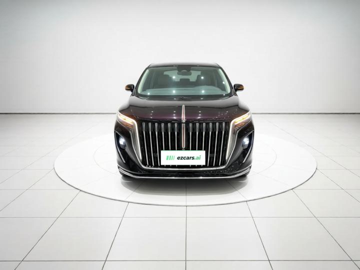 HQ9 PHEV 2024 2.0T AWD Luxury photo 2