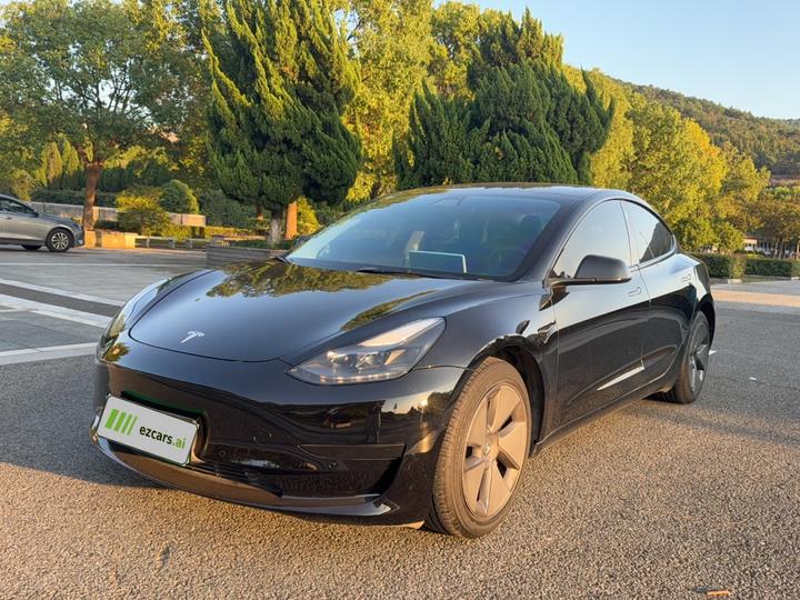 Model 3 2021 Standard Range RWD Upgraded 3D6