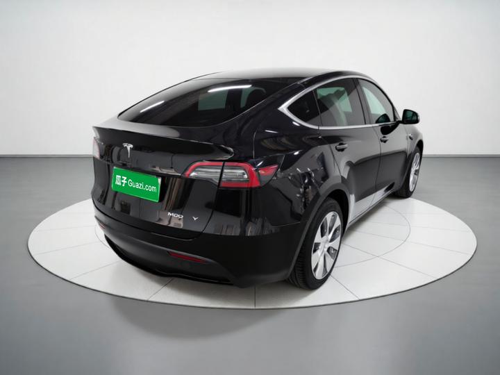 Model Y 2021 Standard Range RWD photo 6