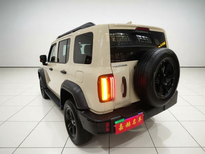 300 2025 2.0T Petrol Conqueror photo 4