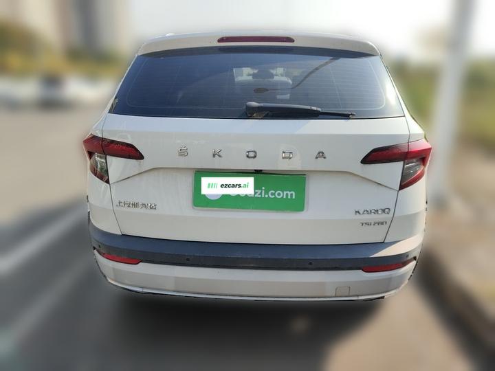 Karoq 2019 TSI280 Preferred China V photo 5