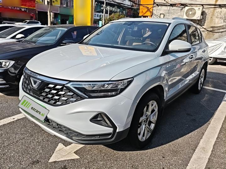 VS5 2019 280TSI MT