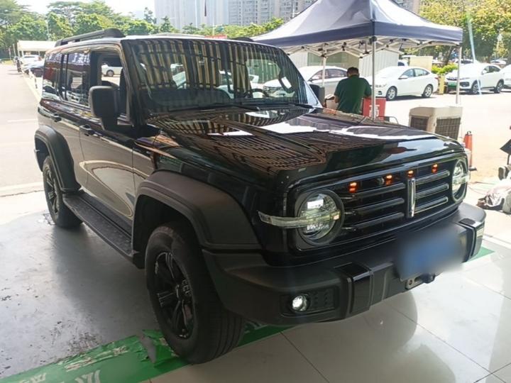 300 2021 Off-road 2.0T Conqueror photo 3