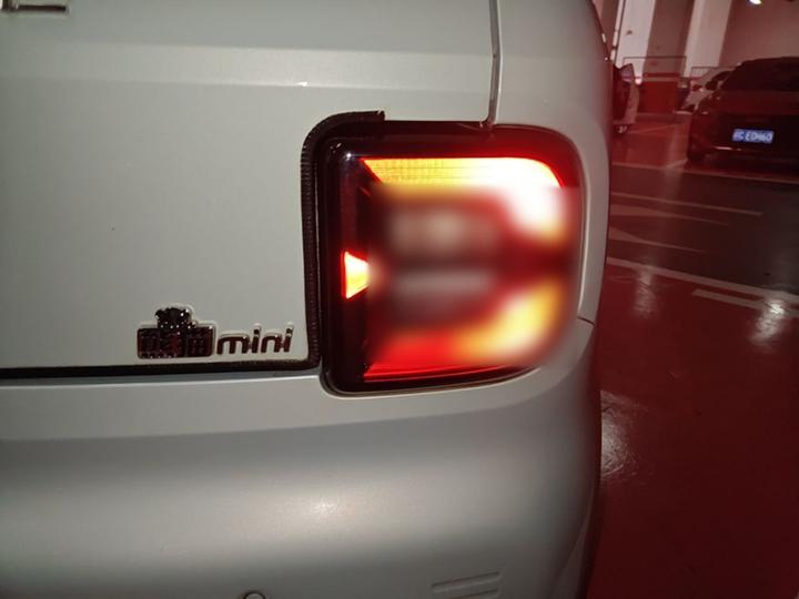 2024 200km Panda photo 7