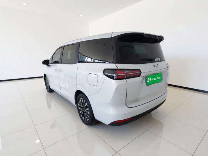 730 EV 2025 125km Luxury photo 4