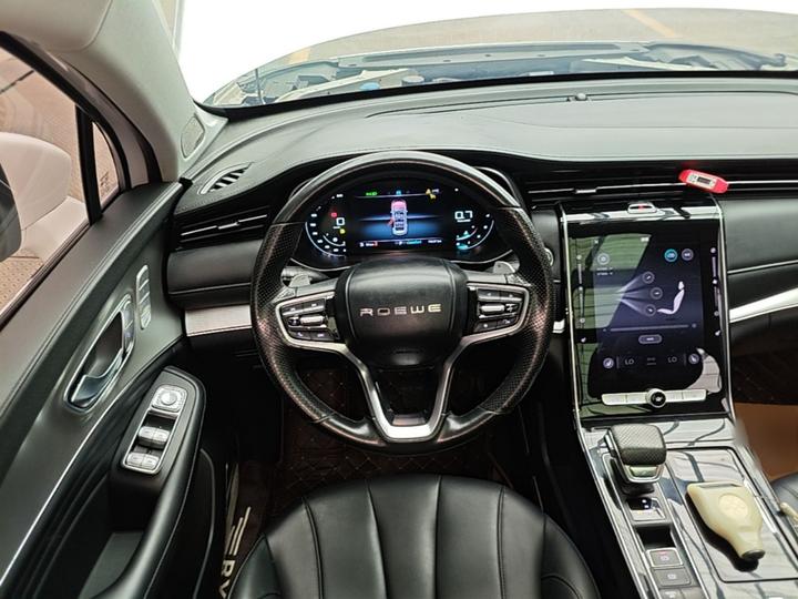 RX5 MAX 2019 300TGI AT Smart Luxury photo 6