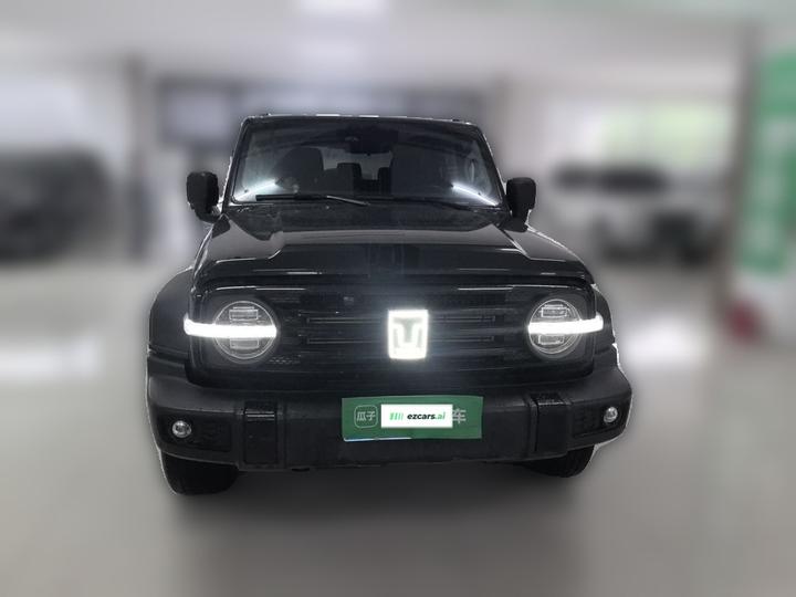 300 2024 2.0T Conqueror photo 2
