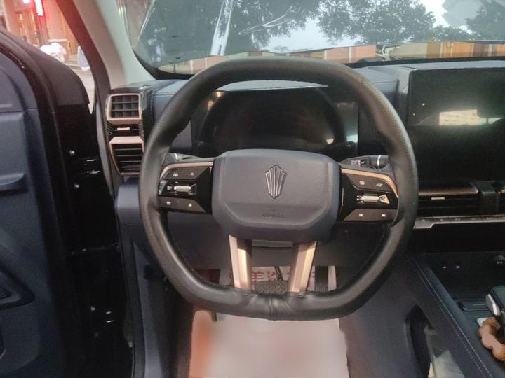 Dadao 2023 Passion 2.3T Diesel AT AWD Exclusive photo 3
