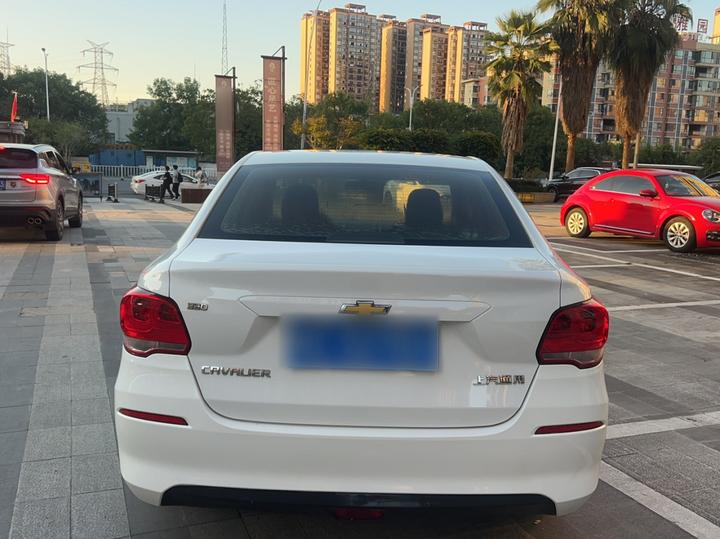 Cavalier 2019 320 AT photo 8